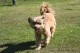 Thumbs/tn_Bild 055.jpg